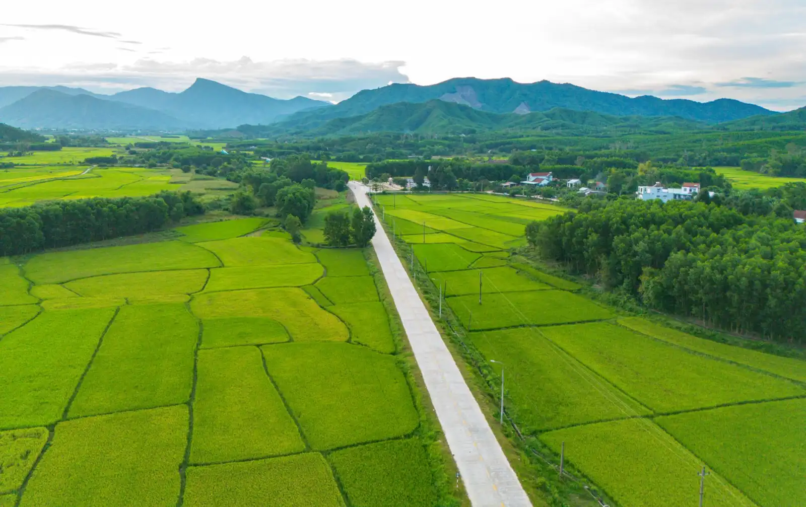 智慧照明改造方案：道路与园区节能灯具替换实践要点