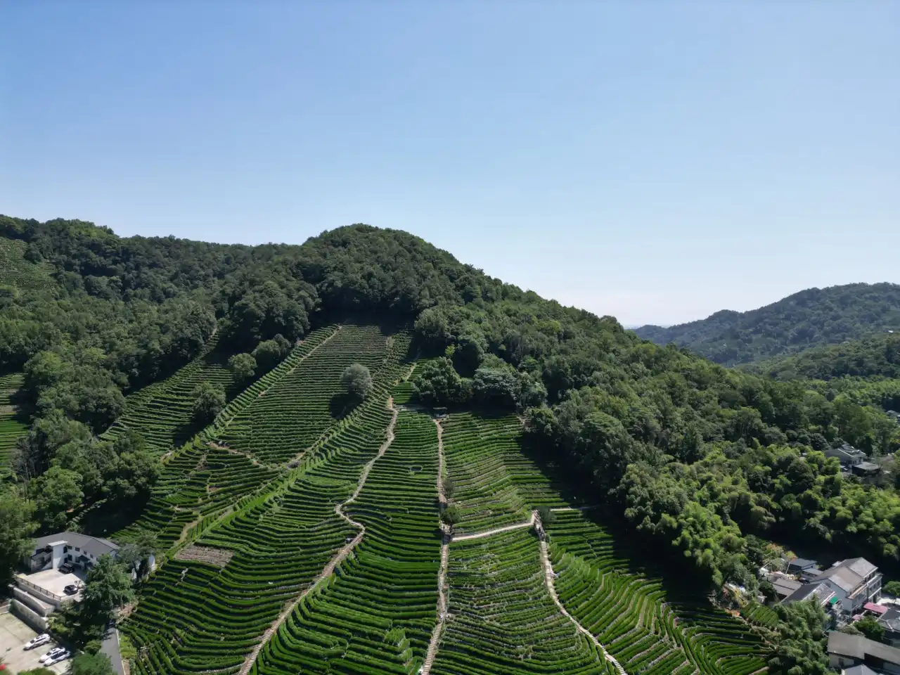 柏照网络科技智慧照明产品对比：LED节能灯具与智能控制系统的协同优势