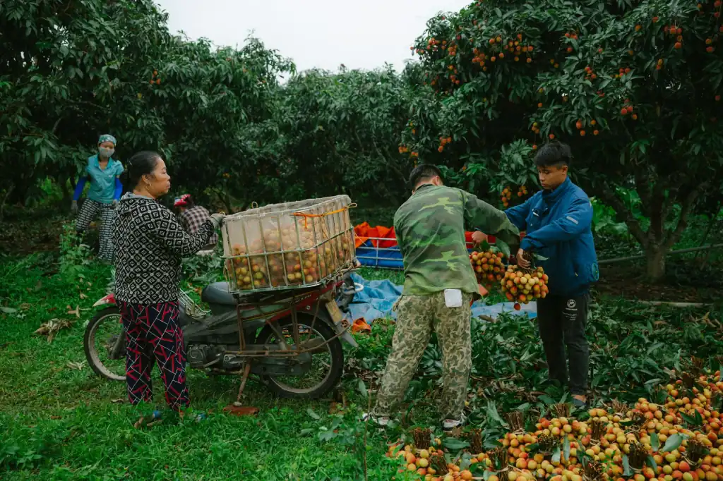 2025年智慧照明行业政策趋势与公共照明节能改造机遇