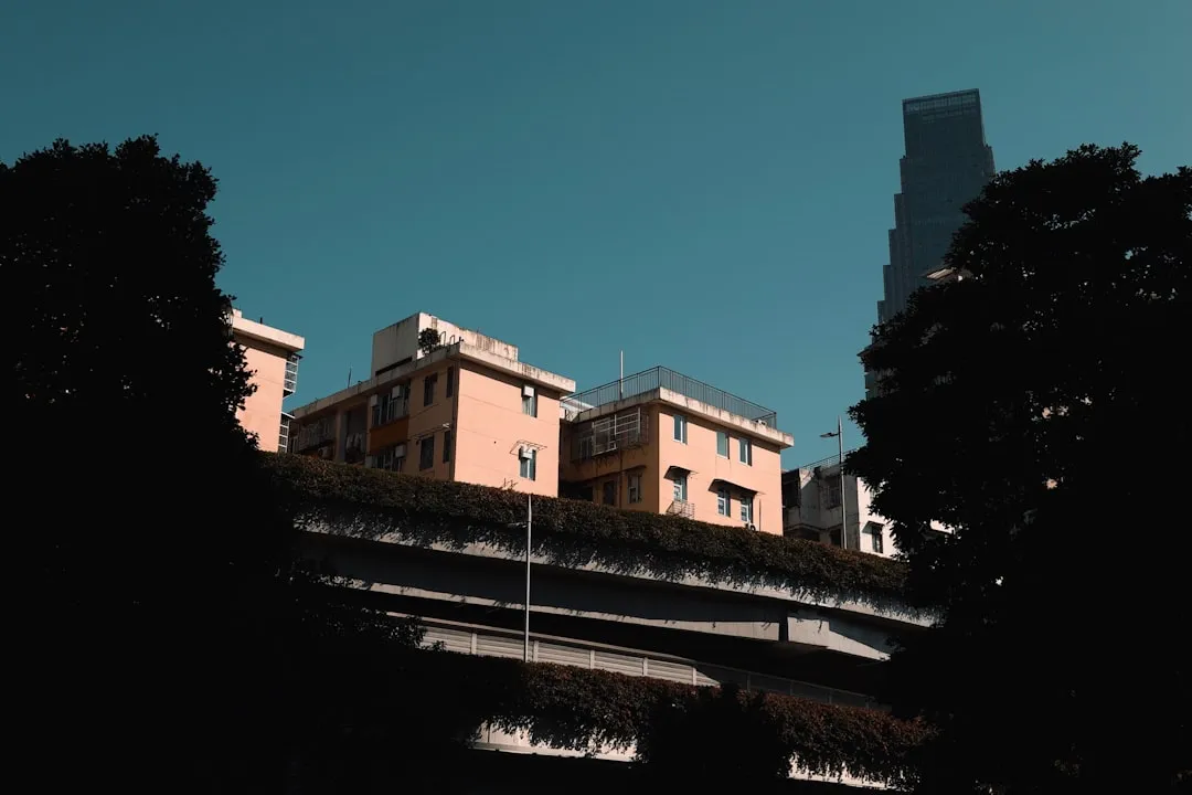 柏照智能光控系统与传统时控方案能耗对比分析
