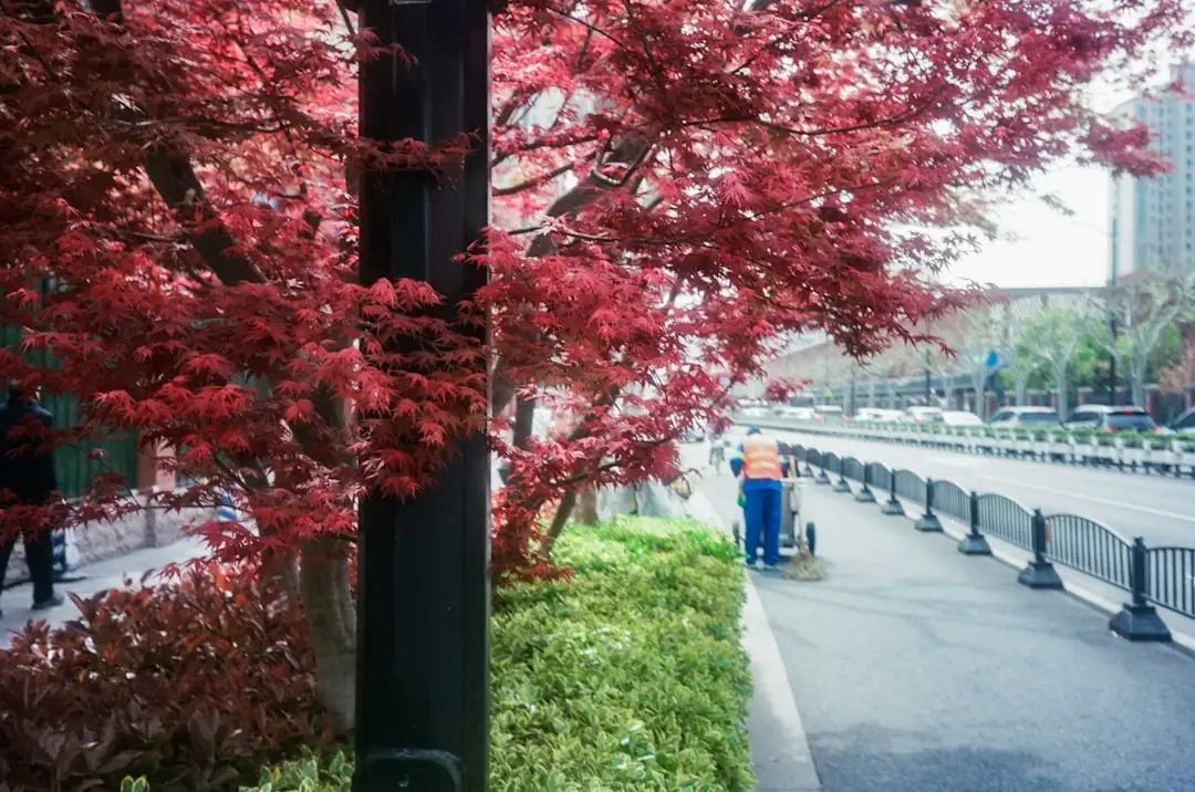 智慧照明物联网改造方案：道路节能升级的关键路径分析
