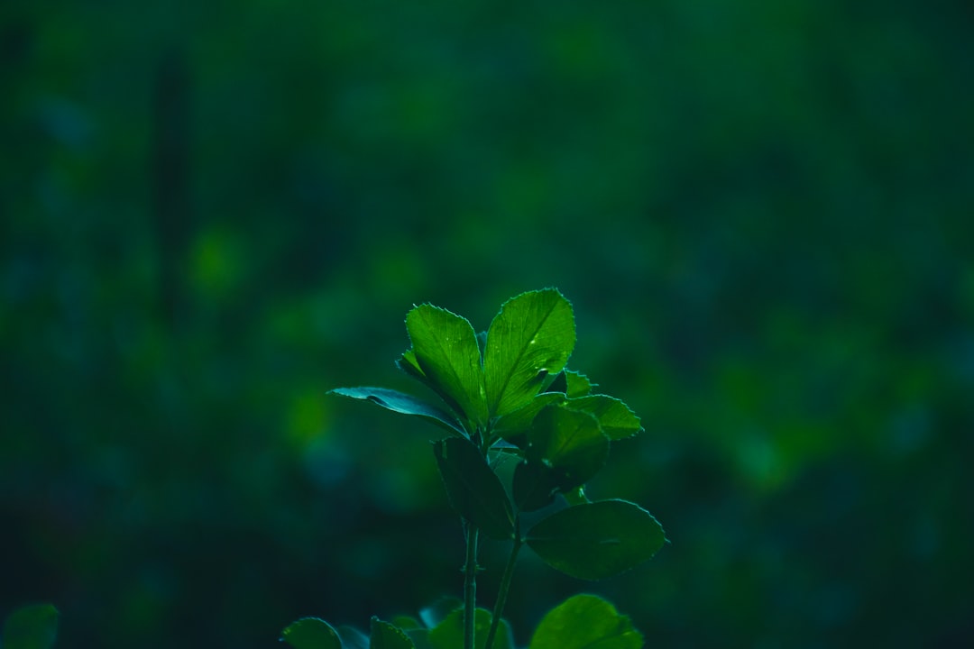 智慧照明改造方案：工业园区路灯物联网节能降本实践
