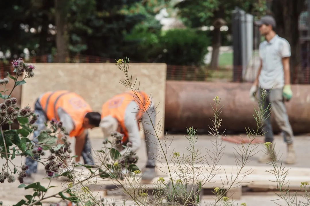 2024年城市道路智慧照明趋势：物联网路灯节能改造与能耗管理实践