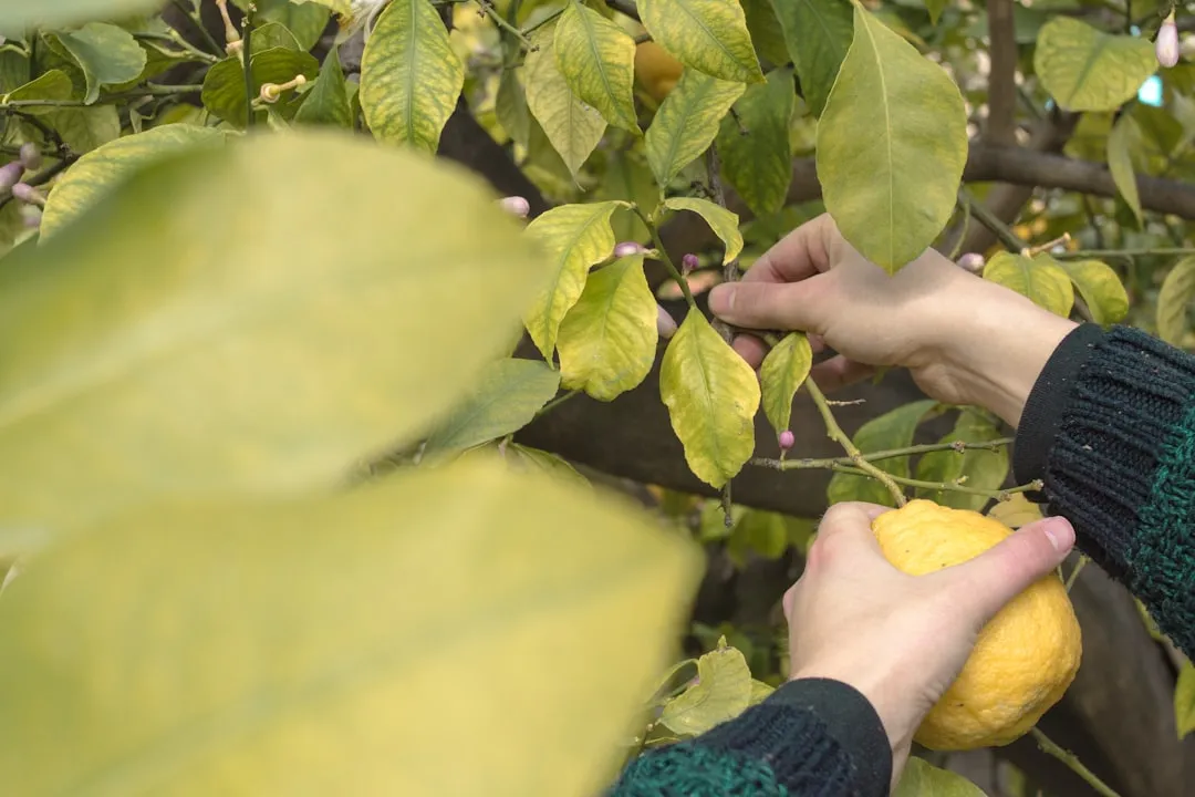园区路灯物联网改造方案：从单灯控制器到能耗管理平台